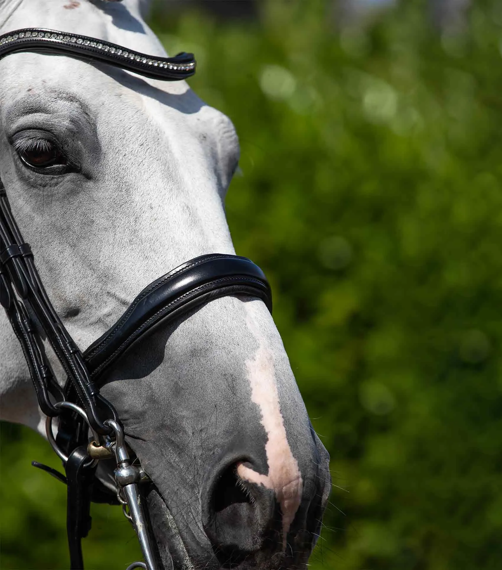 Abriano Anatomic Double Bridle Black