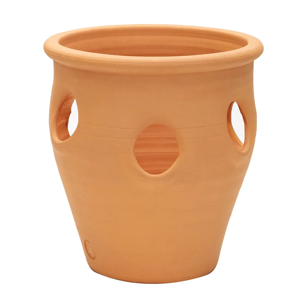 Apta Terracotta Herb / Strawberry Planter