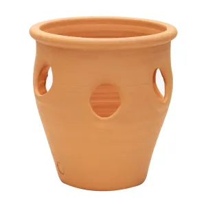 Apta Terracotta Herb / Strawberry Planter