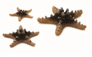 biOrb Sea Stars Set of 3