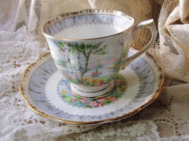 CHARMING Vintage Tea Cup and Saucer SILVER BIRCH Royal Albert English Bone China for Bridal Luncheons,Showers, Hostess Gift, Bridesmaid Gift, Weddings,Tea Parties