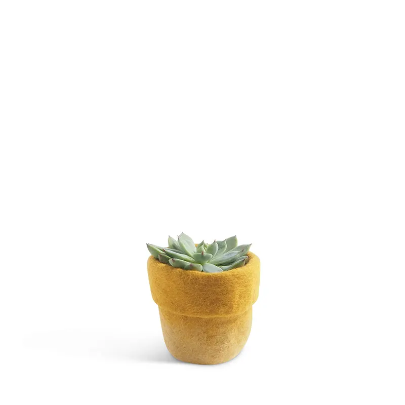 Flower Pot 20 - Small