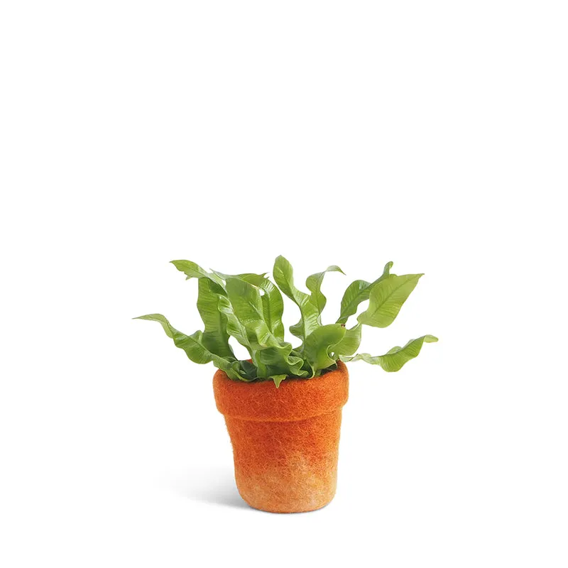 Flower Pot 20 - Small