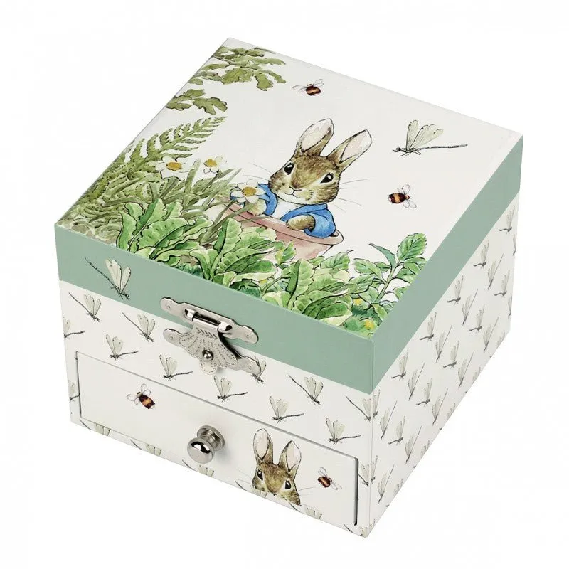 Musical Jewellery Box: Peter Rabbit - Dragonfly (Cube)