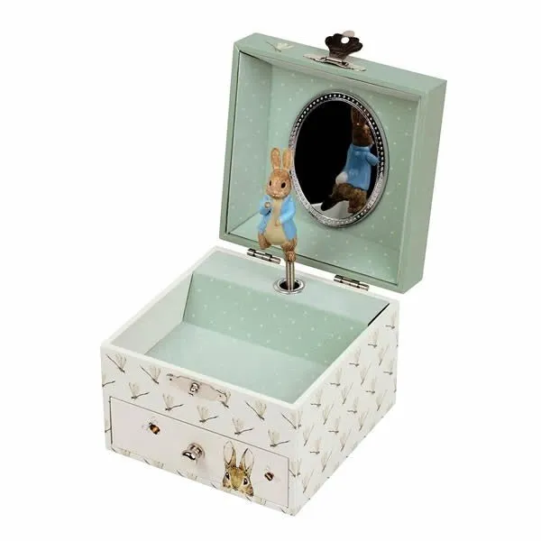 Musical Jewellery Box: Peter Rabbit - Dragonfly (Cube)