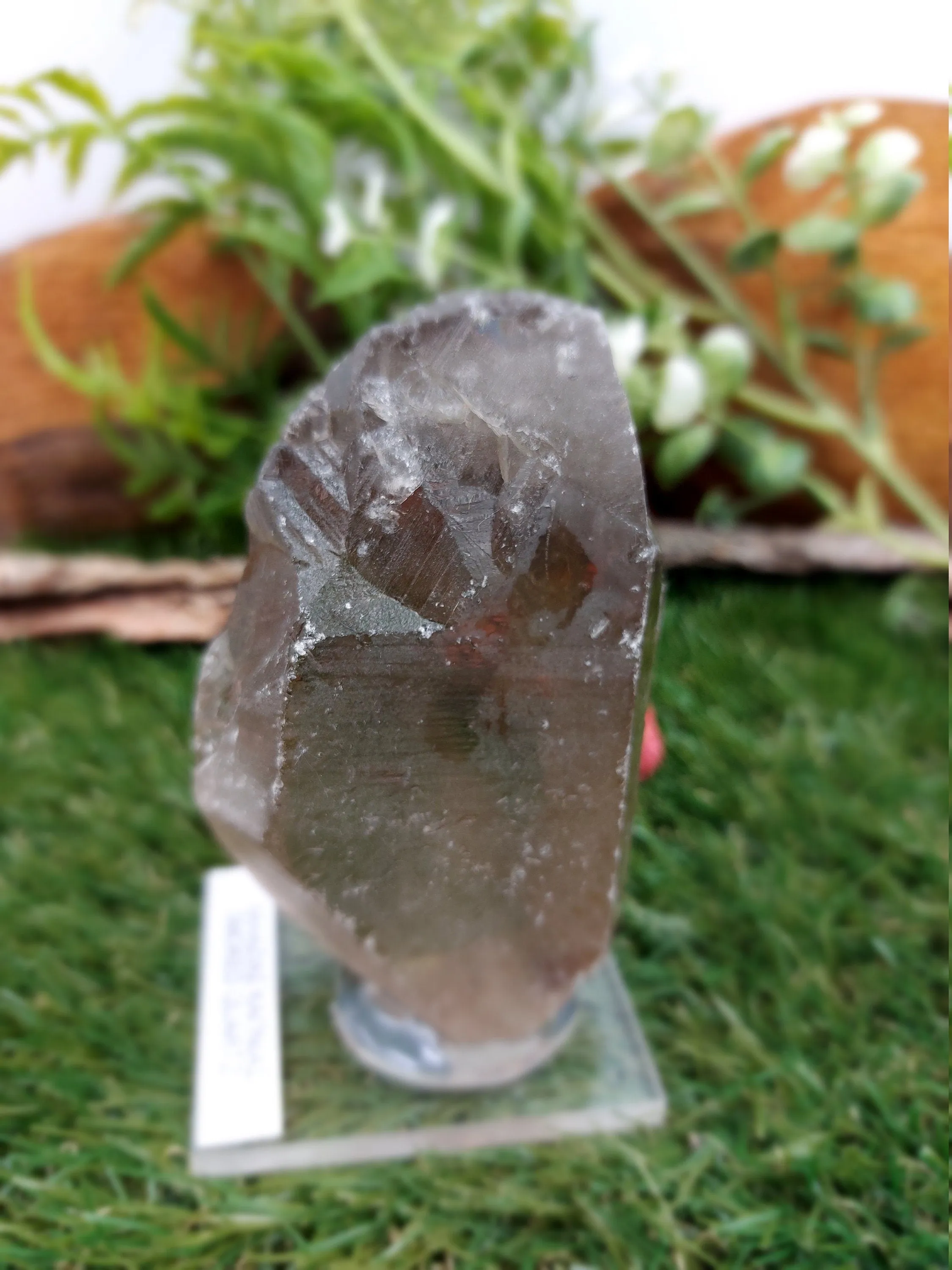 Natural Smokey Quartz - Healing Crystal Zodiac Mineral Stone