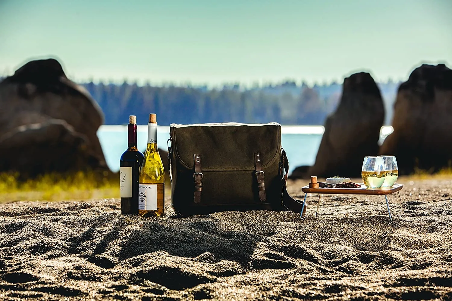 Picnic Time Adventure Wine Tote