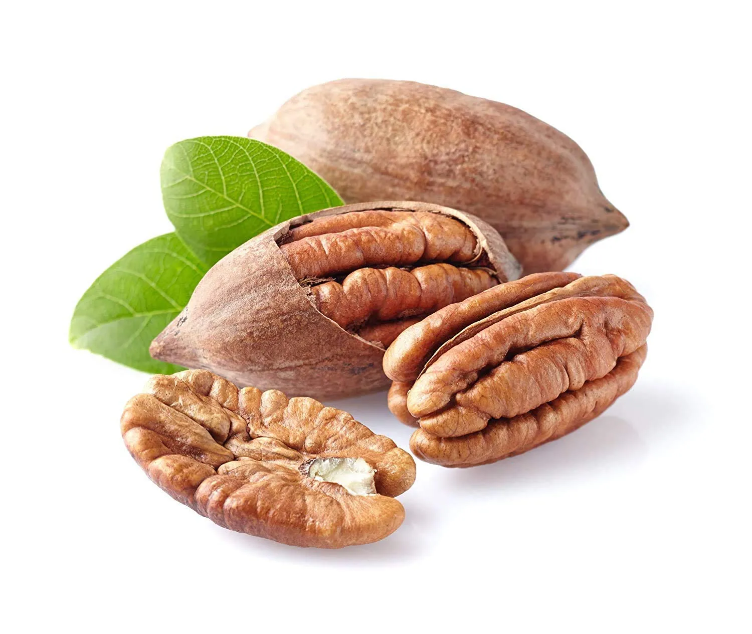 Premium Georgian Raw Fresh Pecans in Shell - Anna and Sarah