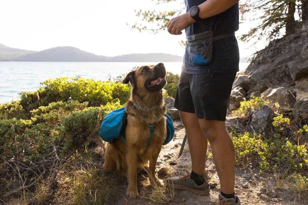 Treat Trader Dog Treat Bag - Wear around your waist & be hands-free!