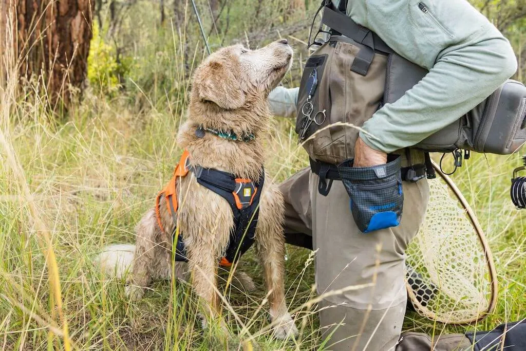 Treat Trader Dog Treat Bag - Wear around your waist & be hands-free!