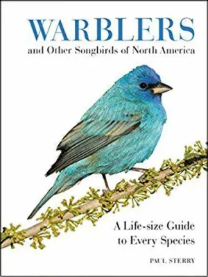 Warblers and Other Songbirds of North America